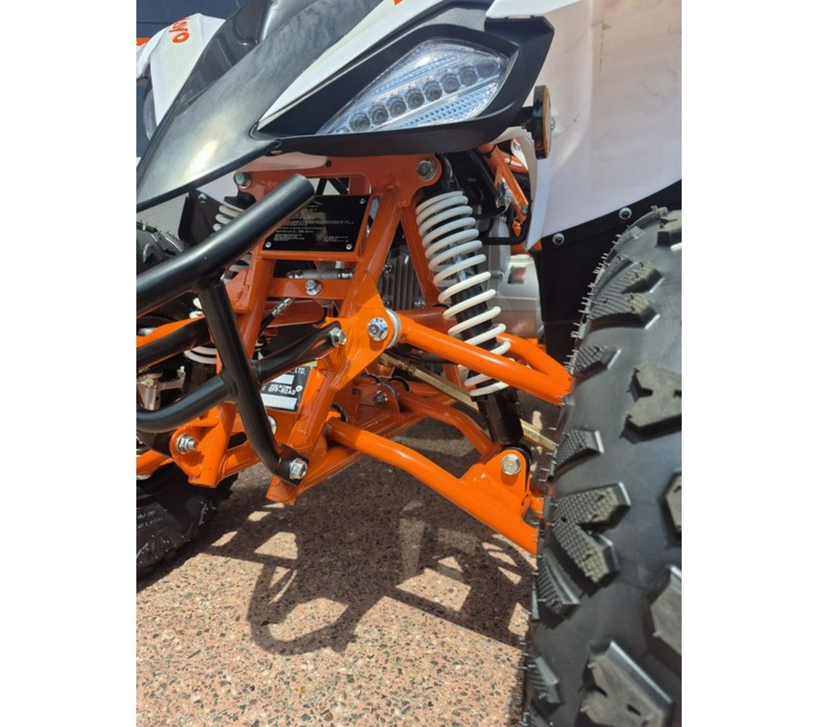 2025 Kayo 110 Predator