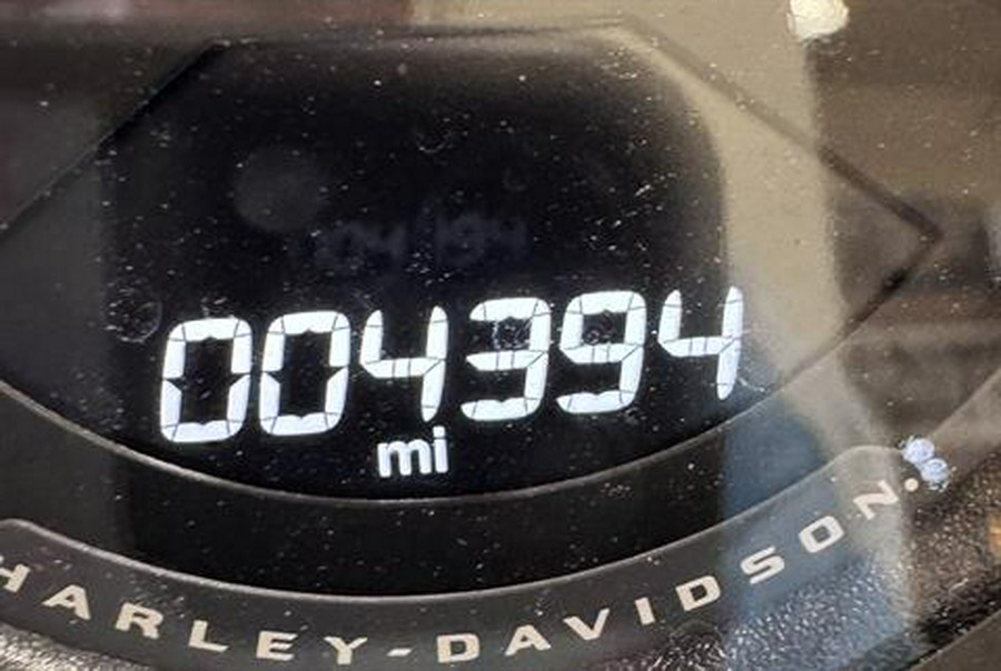 2025 Harley-Davidson Low Rider® ST