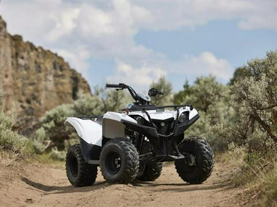 2024 Yamaha Grizzly 90