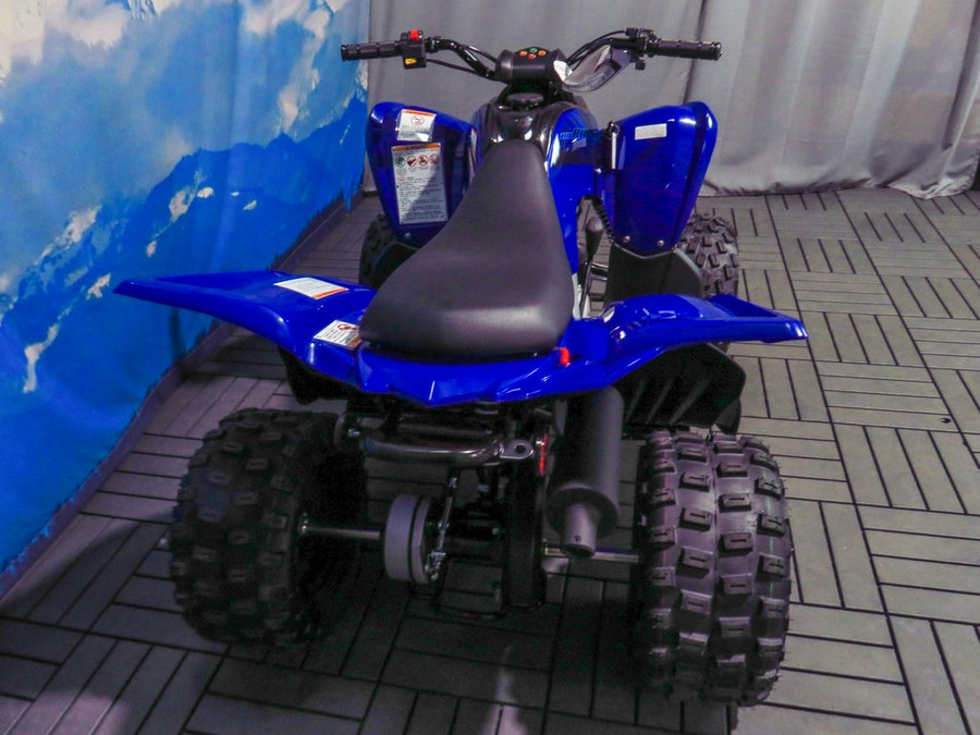 2024 Yamaha Raptor 110