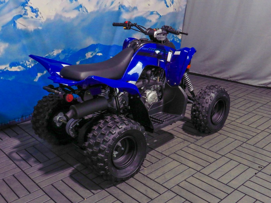 2024 Yamaha Raptor 110