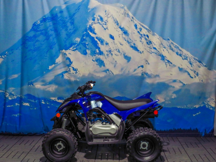 2024 Yamaha Raptor 110