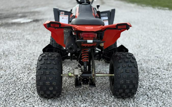 2026 Can-Am DS 250