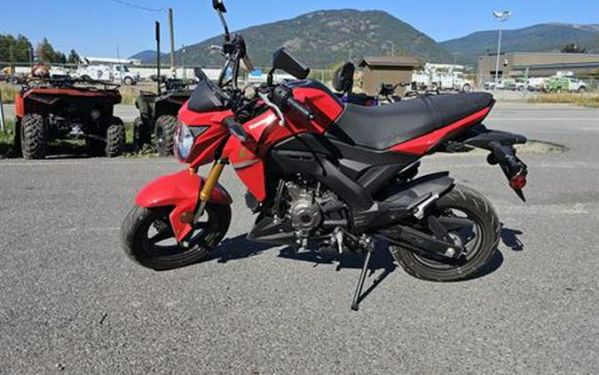 2023 Kawasaki Z125 Pro