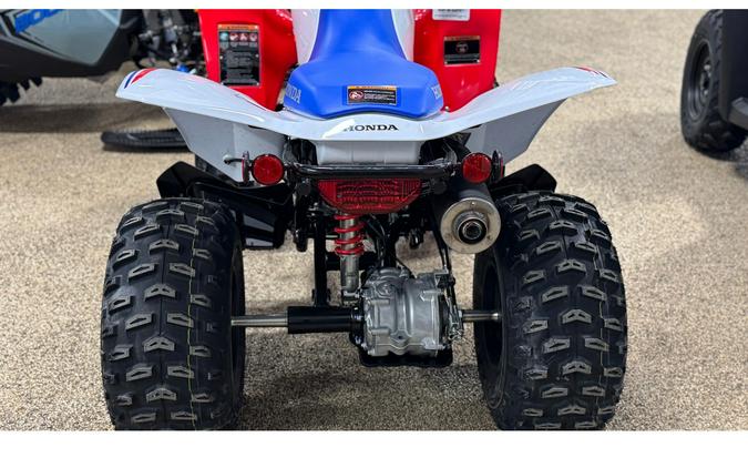 2026 Honda TRX250X