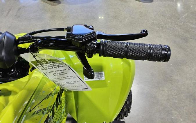 2026 Yamaha Raptor 110