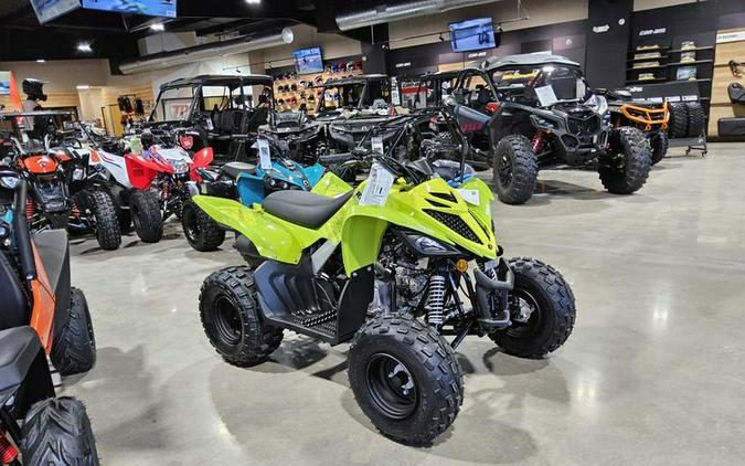 2026 Yamaha Raptor 110