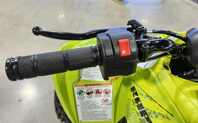 2026 Yamaha Raptor 110