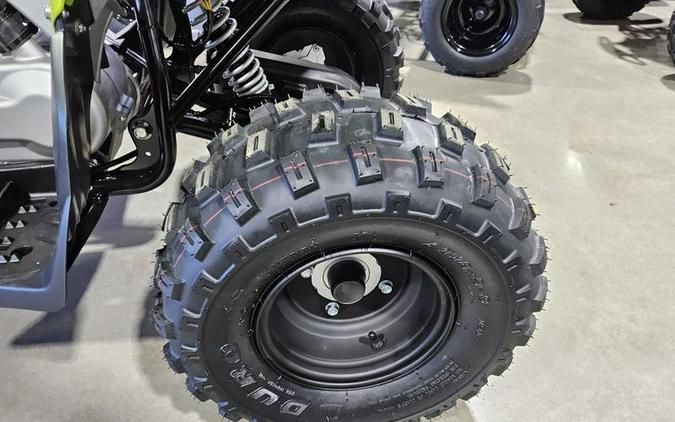 2026 Yamaha Raptor 110