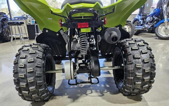 2026 Yamaha Raptor 110