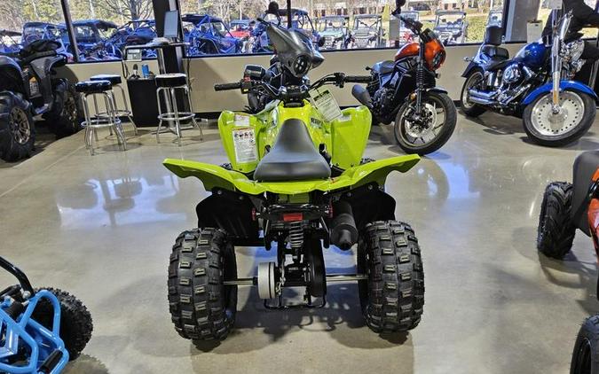 2026 Yamaha Raptor 110