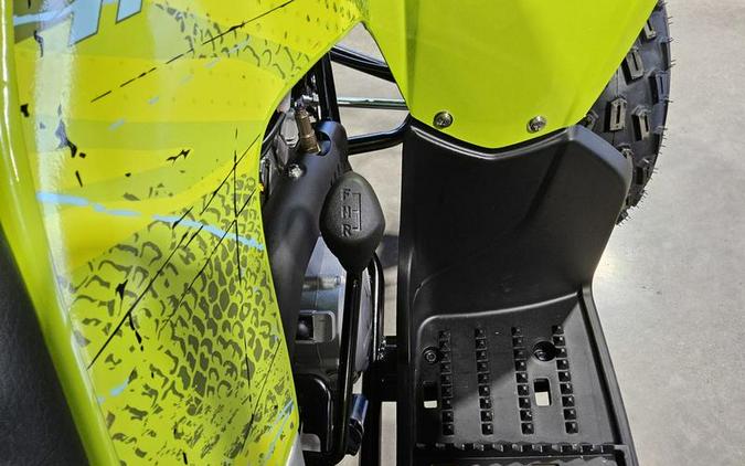 2026 Yamaha Raptor 110