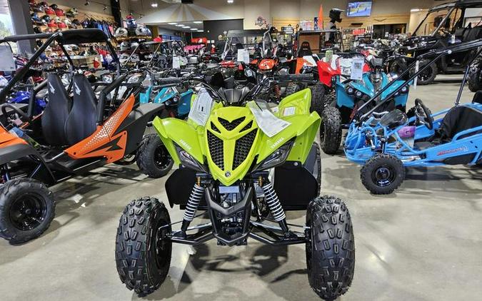 2026 Yamaha Raptor 110