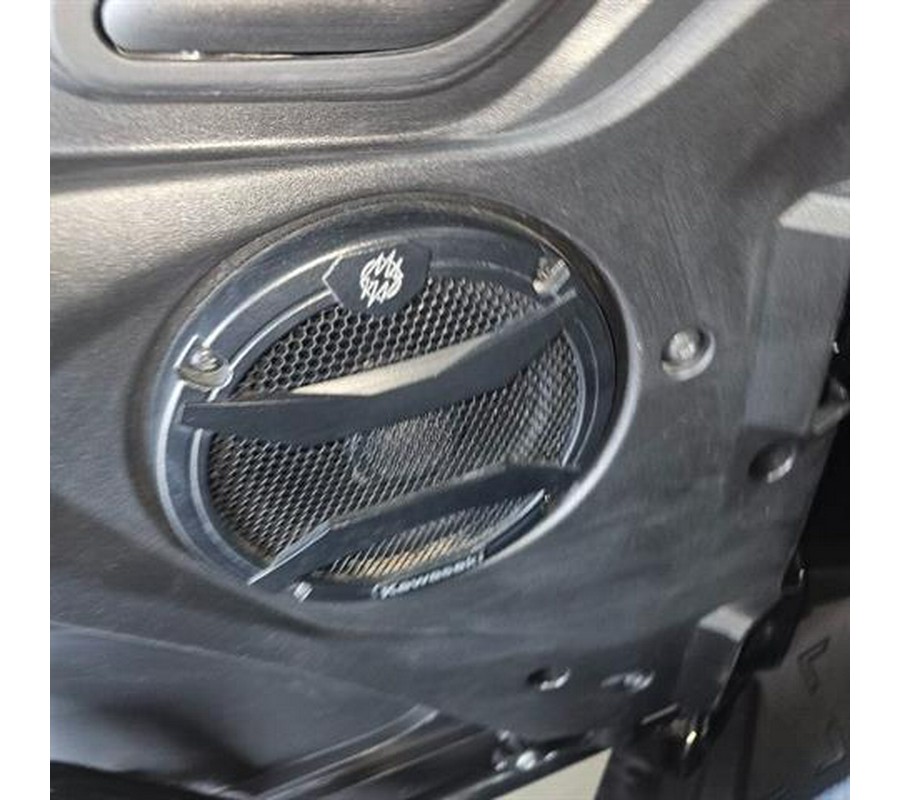 2024 Kawasaki Teryx KRX 1000 eS