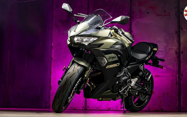 2024 Kawasaki Ninja® 650 Metallic Matte Dark Gray/Metallic Spark Black