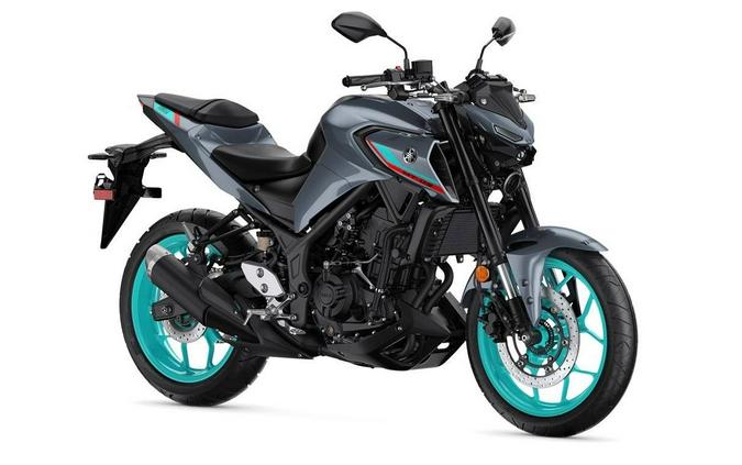 2023 Yamaha MT03