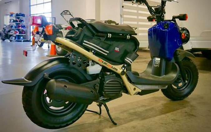 2022 Honda Ruckus