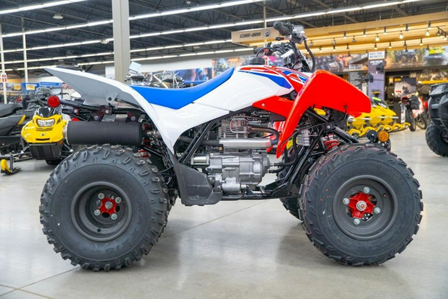 2026 Honda TRX 250X