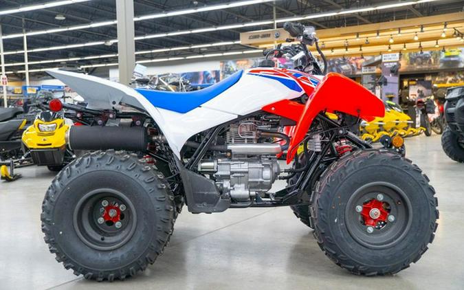 2026 Honda TRX 250X