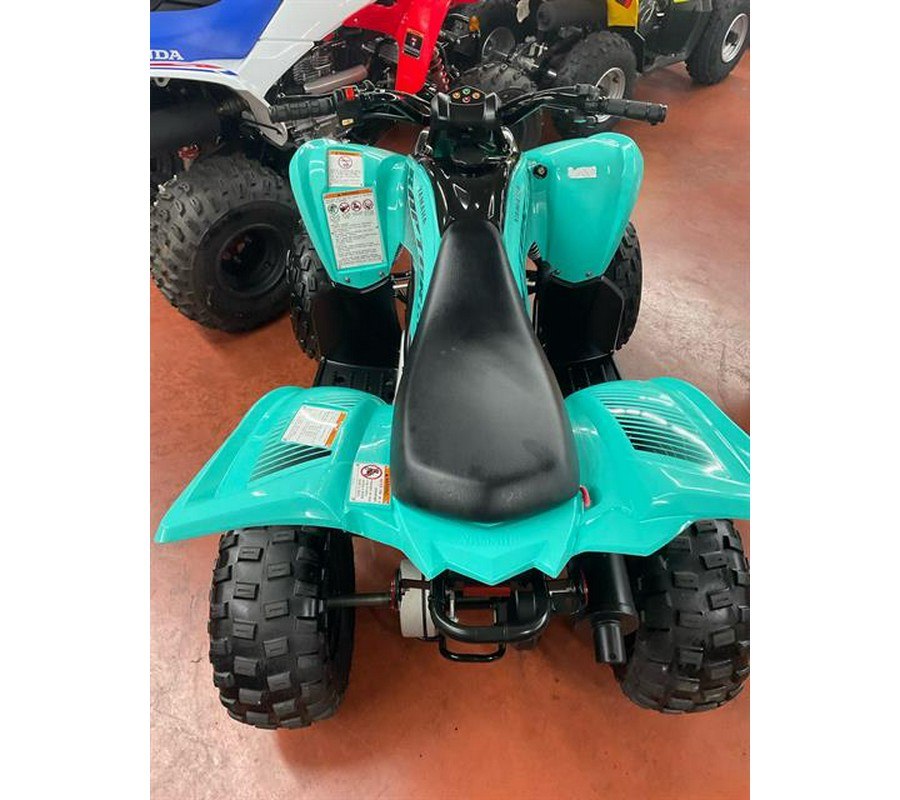 2024 Yamaha Raptor 110