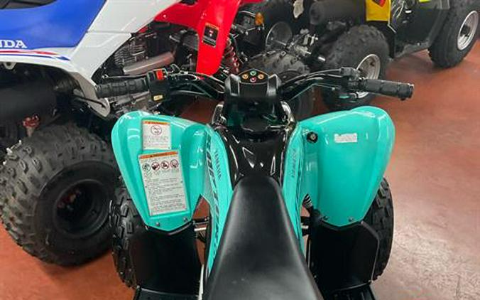 2024 Yamaha Raptor 110