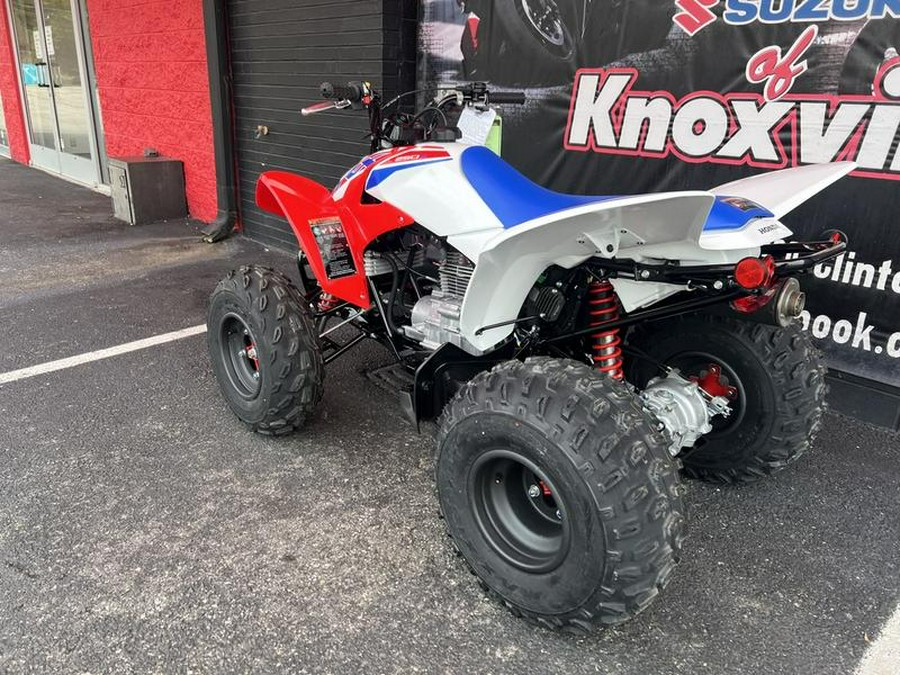 2026 Honda® TRX250X