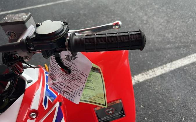 2026 Honda® TRX250X