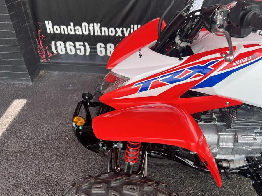 2026 Honda® TRX250X