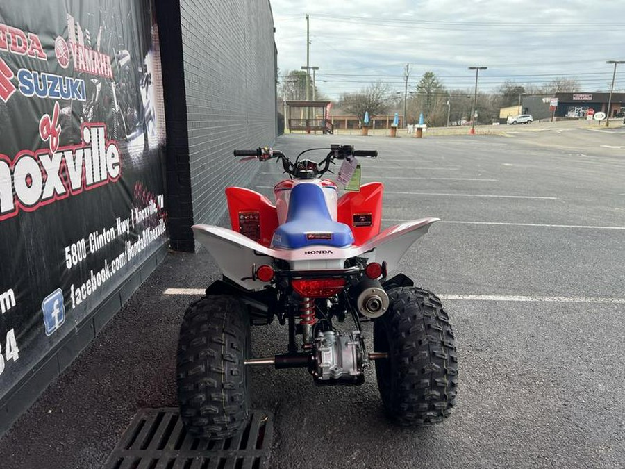2026 Honda® TRX250X