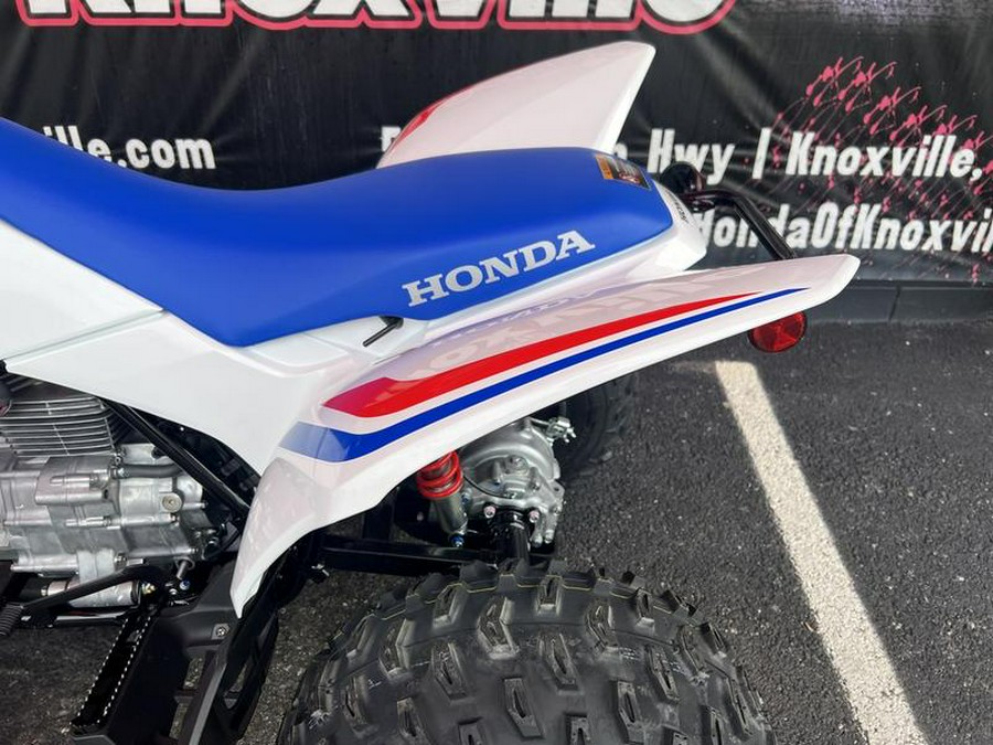 2026 Honda® TRX250X