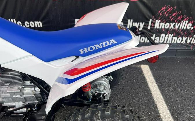 2026 Honda® TRX250X