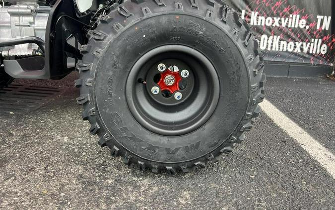 2026 Honda® TRX250X