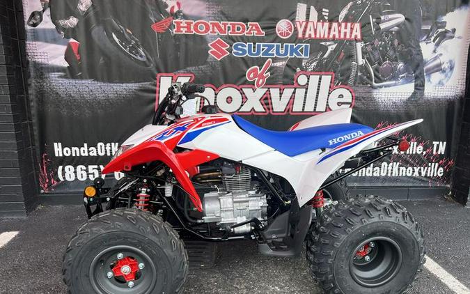 2026 Honda® TRX250X