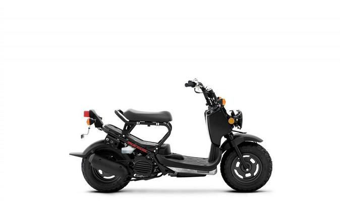 2020 RUCKUS - Honda