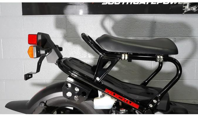 2020 RUCKUS - Honda