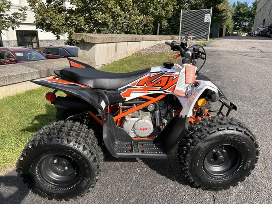 2025 Kayo Predator 125