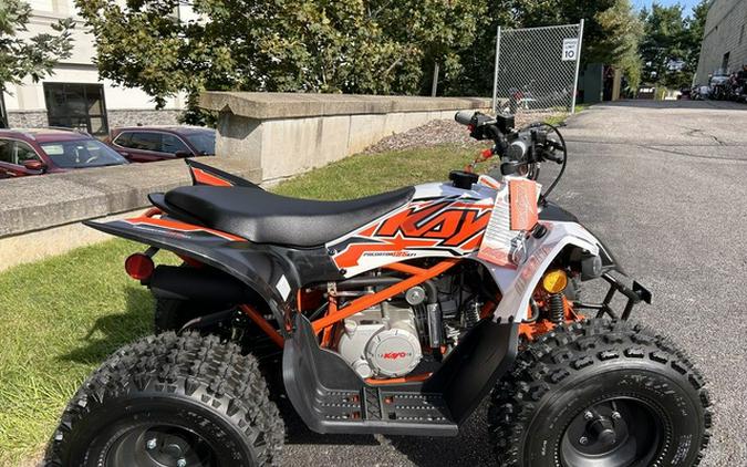 2025 Kayo Predator 125