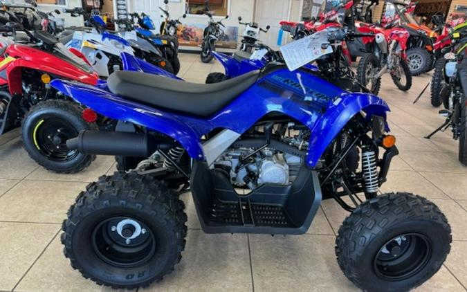 2025 Yamaha Raptor 110