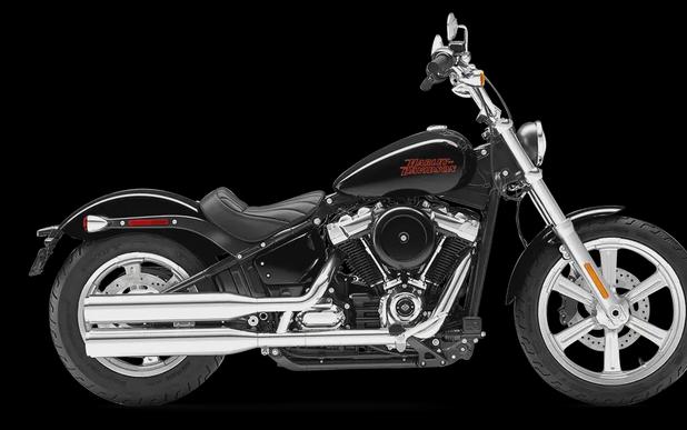 2024 Harley-Davidson® Softail® Standard Vivid Black Chrome Trim