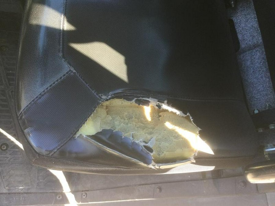 2021 Polaris® Ranger XP 1000 NorthStar Edition Premium