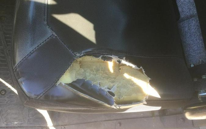 2021 Polaris® Ranger XP 1000 NorthStar Edition Premium