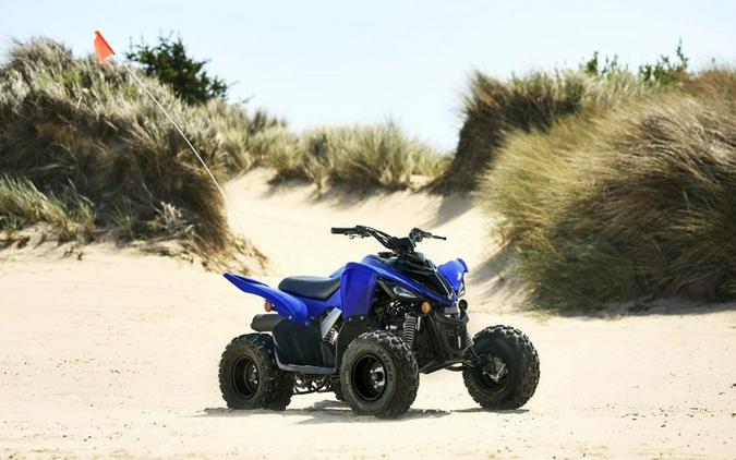 2025 Yamaha Motor Corp., USA Raptor 110