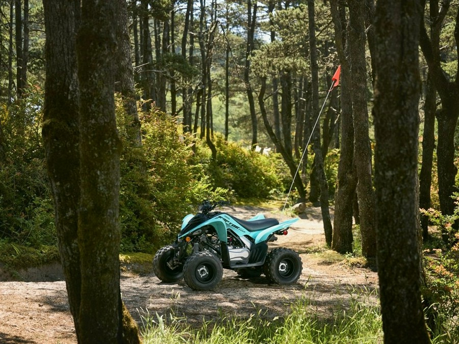 2025 Yamaha Motor Corp., USA Raptor 110