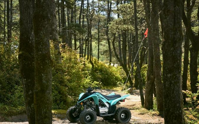 2025 Yamaha Motor Corp., USA Raptor 110