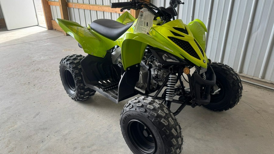 2026 Yamaha Raptor 110