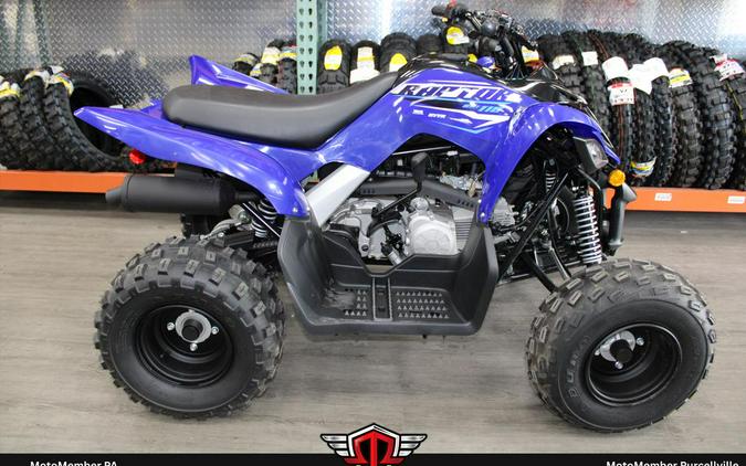 2026 Yamaha Raptor 110
