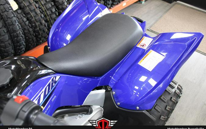 2026 Yamaha Raptor 110