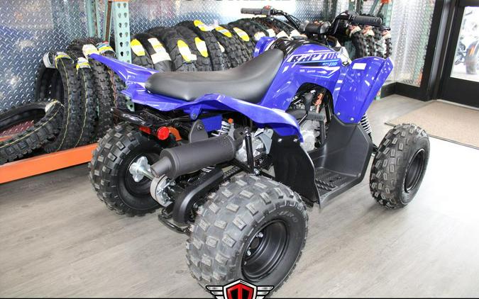 2026 Yamaha Raptor 110