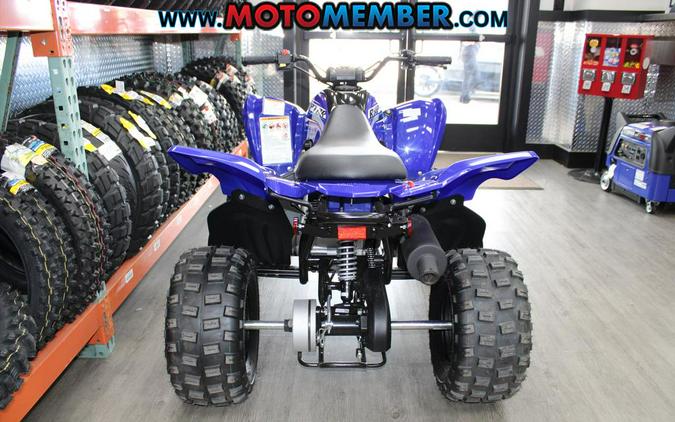 2026 Yamaha Raptor 110
