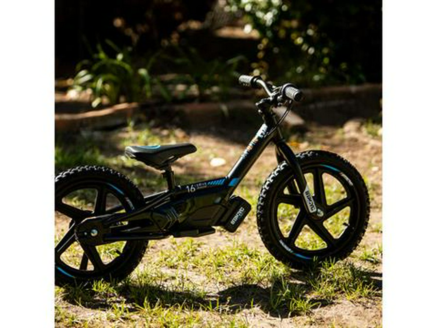 2025 Stacyc 16eDRIVE Brushless